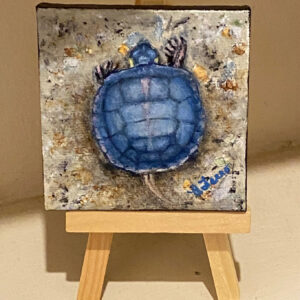 Baby Painted Turtle by Brenda Ferro