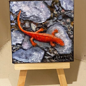 Red Eft - Newt by Brenda Ferro