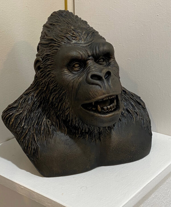 Kong by Paul Ducret