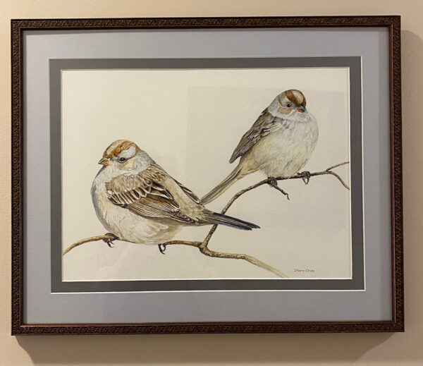 Puffy Sparrows by Diane Orzel