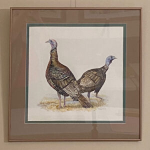 Spring Turkeys by Diane Orzel