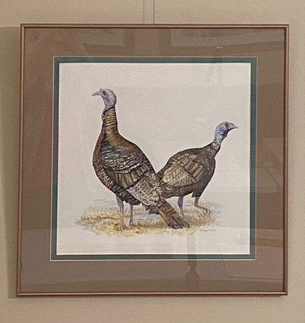 Spring Turkeys by Diane Orzel