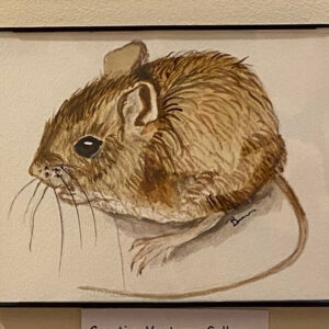 A Mouse Study by Betsey Ann Golon