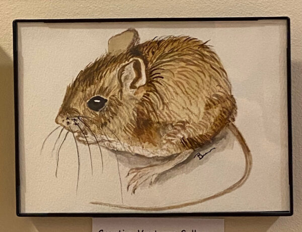 A Mouse Study by Betsey Ann Golon