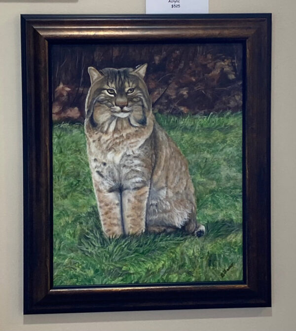 Bobcat by Brenda Ferro