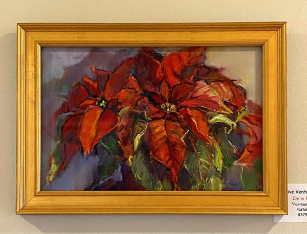 Pointsettias by Chris Reid