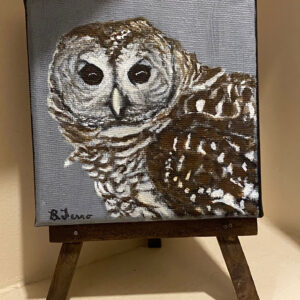 Barred Owl by Brenda Ferro