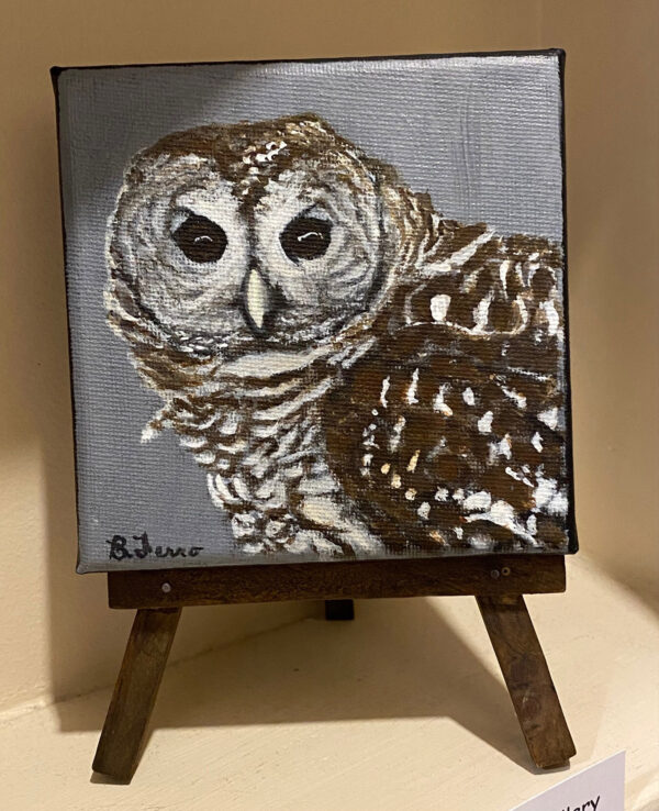 Barred Owl by Brenda Ferro